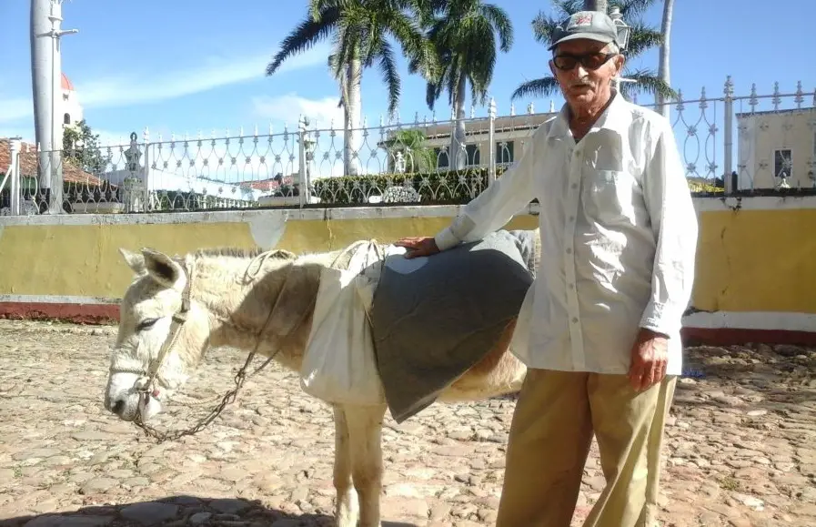 Milagros, el curioso burro de Trinidad que solo se deja montar por los "yumas"